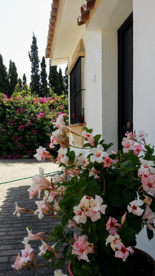 Banus Lodge Marbella Exterior foto